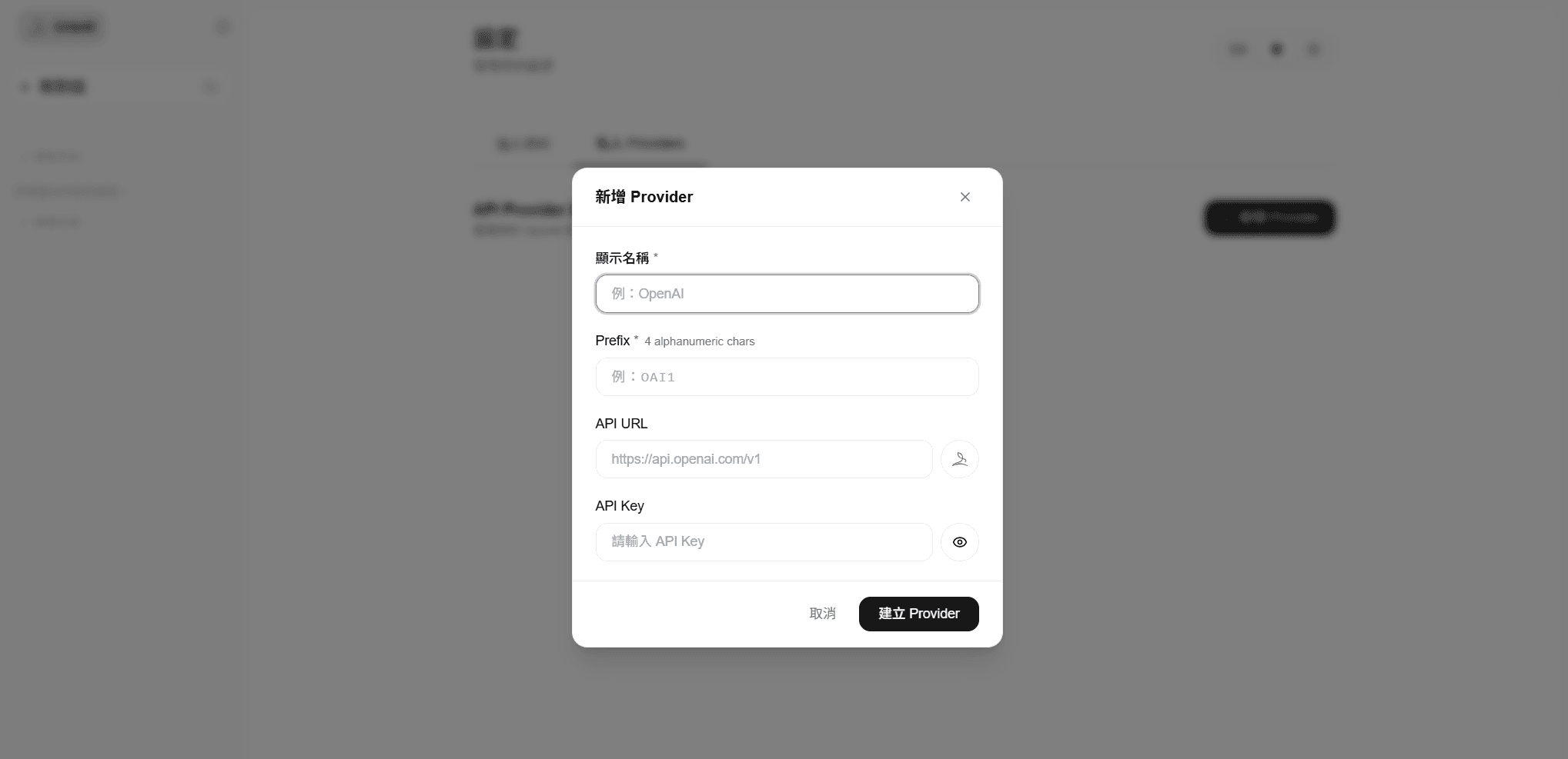 Private Provider creation form with the required fields.