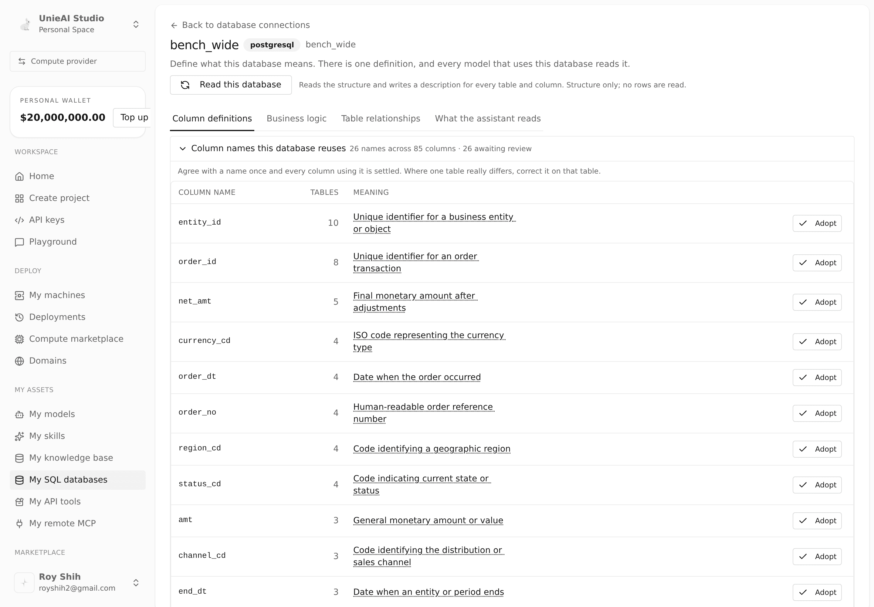 The database's definitions page: column definitions, business logic, table relationships, and what the assistant reads.